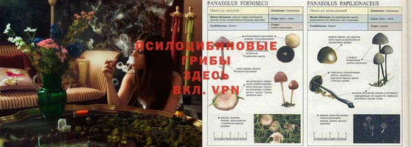 spice Пролетарск