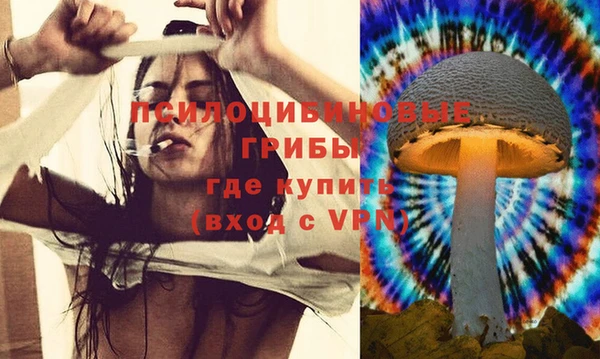 герыч Балахна